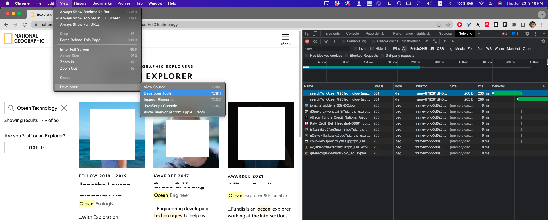Screenshot showing the "network" view in Google Chrome's developer tools